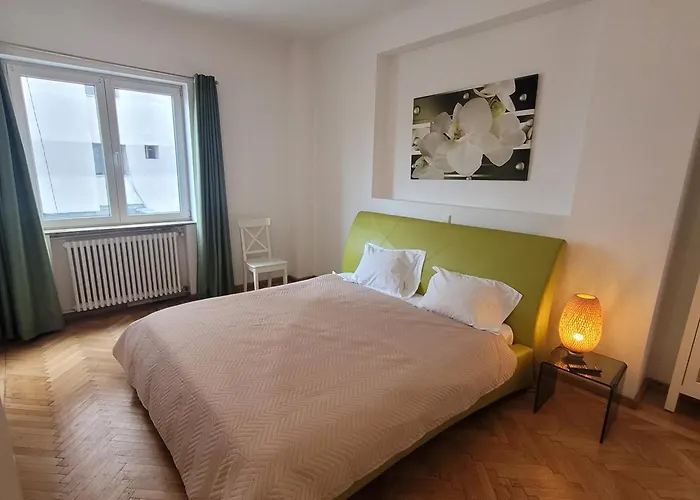 Apartment Anastasia Balcescu 2 Self Check Code In From 2pm Only Microwave